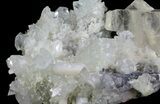 Stilbite, Apophyllite, Calcite and Quartz Association - India #65718-3